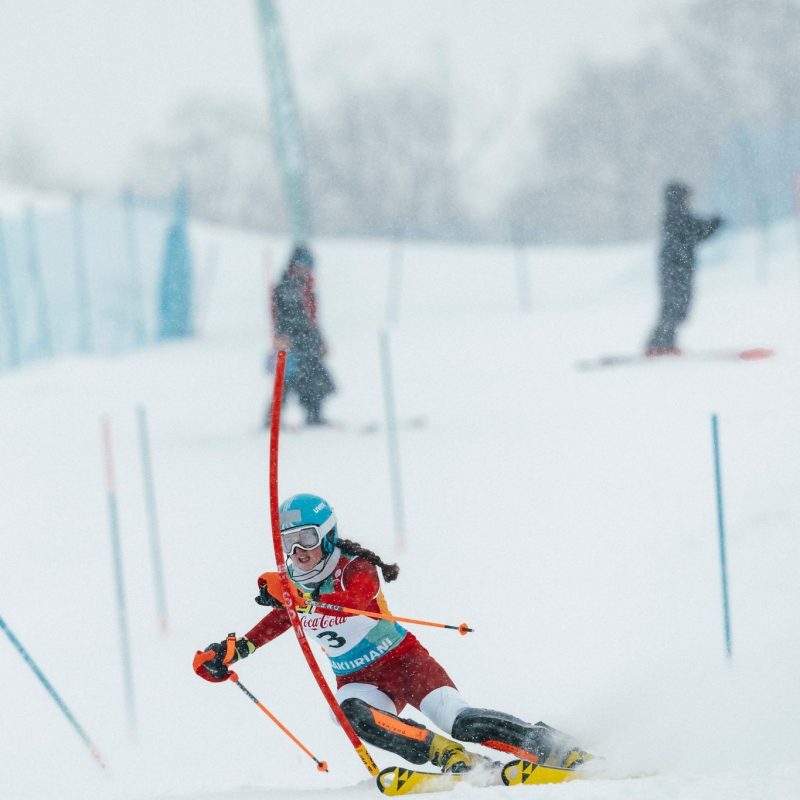 Dallhammer Angelika 2 Dallhammer Angelika 2